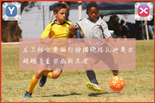 后卫转会费排行榜揭晓格瓦迪奥尔超越马奎尔成新王者